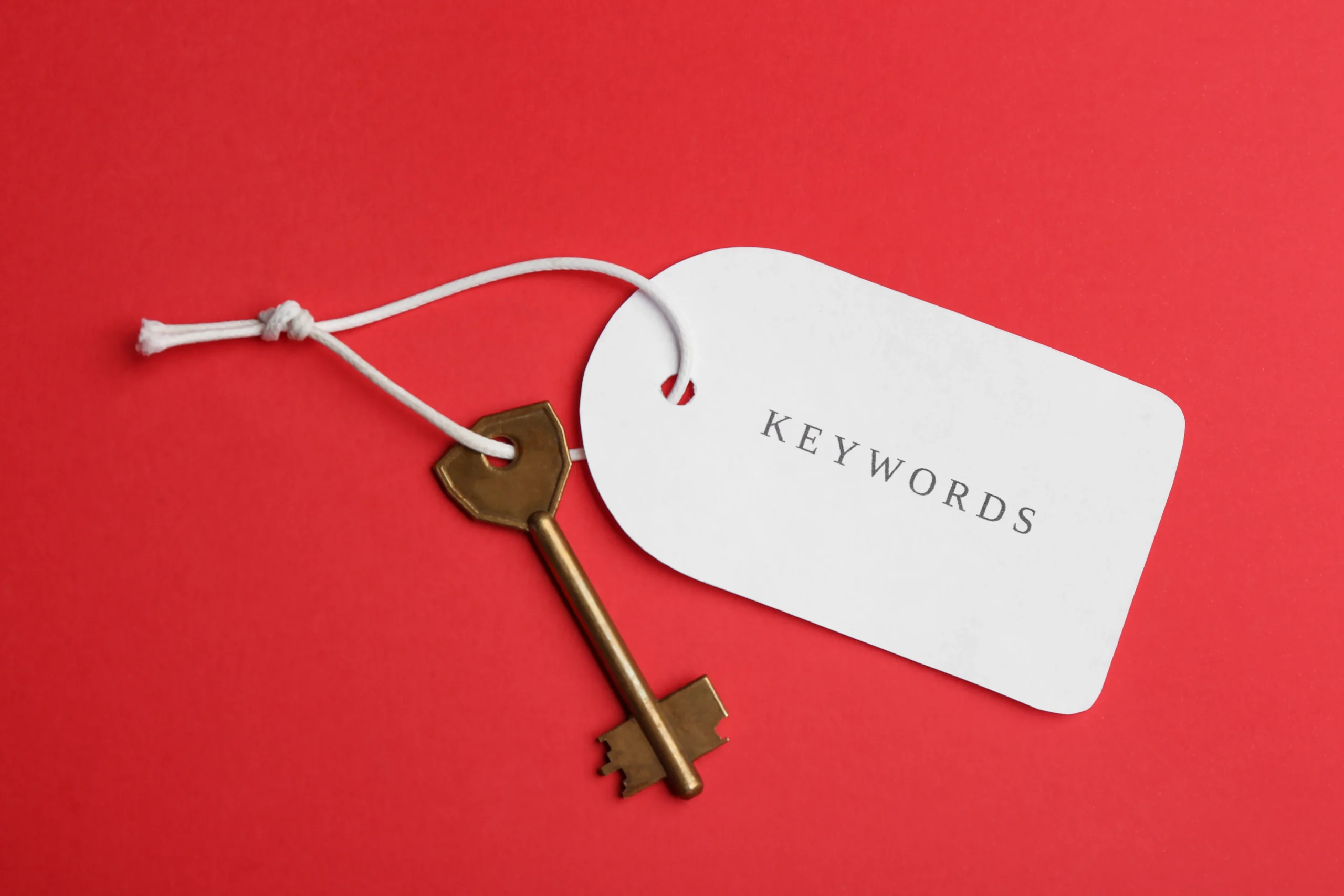 Google Ads Keyword Analyse und Suchanfragen